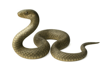 Fototapeta premium Majestic snake posing on transparent background, showing its scaly skin