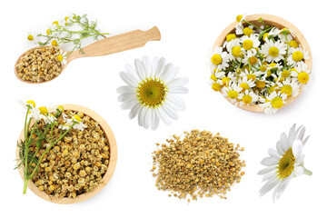 Dried and fresh chamomile flowers isolated on white, set