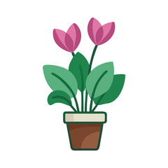 Stylized illustration of a potted cyclamen plant with pink flowers on black background