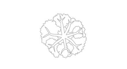 Top-down view of a stylized tree, perfect for architectural renderings and design projects