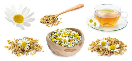 Dried and fresh chamomile flowers and herbal tea isolated on white, set
