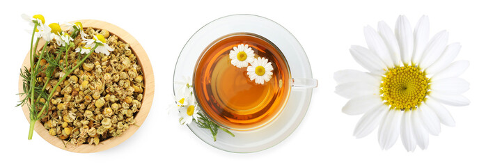 Dried and fresh chamomile flowers and herbal tea isolated on white, set. Top view