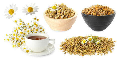 Dried and fresh chamomile flowers and herbal tea isolated on white, set