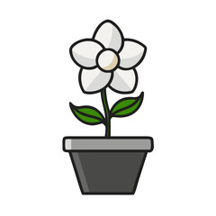 A potted white flower icon, simple and clean, on a black background