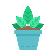 Fototapeta premium Indoor plant illustration with teal pot and green leaves on black background
