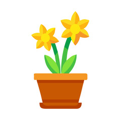Cheerful yellow daffodils in a terracotta pot isolated on a black background