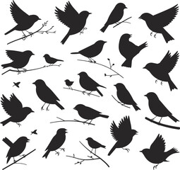 Bird silhouettes vector set, flying birds, perched birds, standing birds, black shapes, wildlife clipart, nature icons, avian poses, editable design elements