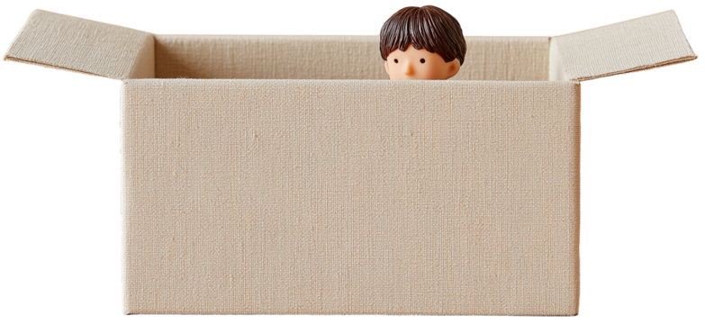 boy's head poking out of a big cardboard box