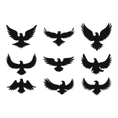 wings vector illustration