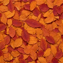 Autumn's Embrace A Textured Tapestry of Vibrant Orange and Red Leaves, Capturing the Essence of Fall