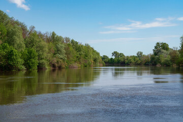 Fototapeta premium The Volga River Delta in the Damchik section of the Astrakhan Biosphere Reserve, Central cordon, on a sunny summer day, Damchik village, Kamizyaksky district, Astrakhan region, Russia