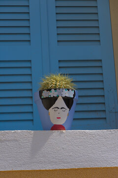 A potted cactus in a decorative planter painted with the face of a woman is shown in front of blue shuttered windows in a sunlit outdoor setting.