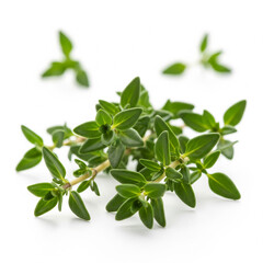 Obraz premium A fragrant and vibrant macro view of fresh thyme sprigs, their tiny green leaves and woody stems in sharp focus (2) copy
