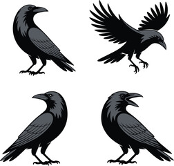 Obraz premium A silhouette vector illustration of a flying black eagle with detailed wings and a feather