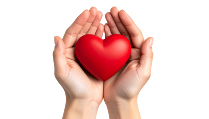 Hands holding a red heart isolated on a white background