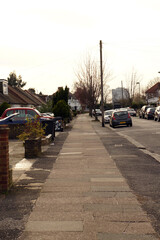 Quiet residential street with bare winter trees and parked cars in soft daylight