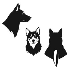 Obraz premium Set of three graphic illustrations of a husky dog's head from front, side, and back views.