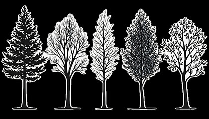 Fototapeta premium Five Black and White Tree Illustrations