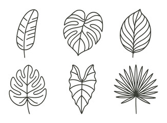 Minimalist tropical leaf line art on subtle gradient background