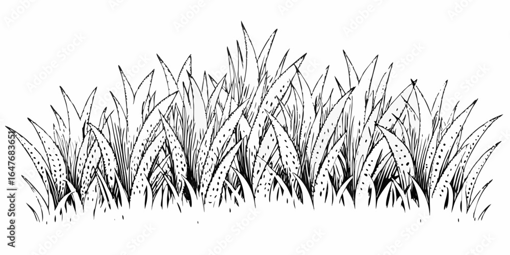 Poster vector illustration of a dense patch of grass with detailed leaf textures and a black and white colo
