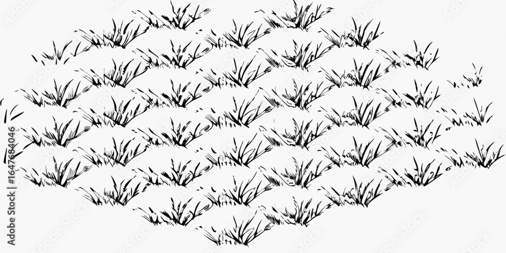 Poster vector monochrome illustration of densely packed tufts of grass creating a textured pattern on a whi