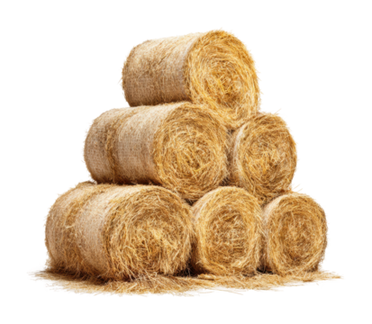Harvest action hay bales stacked outdoors agricultural environment isolated on transparent background