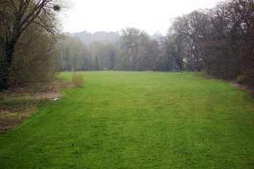 Green Meadow with Trees in Soft Spring Light and Peaceful Atmosphere