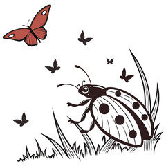 Ladybug butterfly grass illustration insects nature