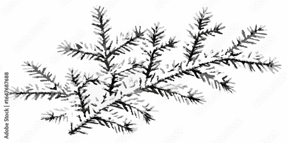 Poster vector a monochrome illustration of a coniferous branch with needles extending outwards in a detaile