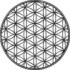 Flower of Life Vector | Sacred Geometry Symbol | Mandala Outline Design