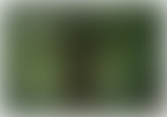 A Muted Landscape of Textured Greenery A Subtle Dance of Light and Shadow A Serene Backdrop Where Nature's Hues Converge Calmness with Textured Green Backdrop