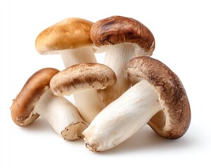 Fototapeta premium Fresh assorted mushrooms on white background