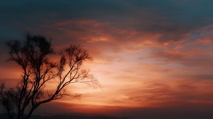 Fototapeta premium Dramatic sunset sky with silhouetted tree branches