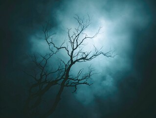 Silhouetted bare tree against a dramatic, twilight sky
