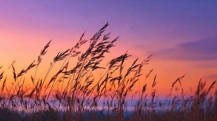 Obraz premium scenic colorful sunset at the sea coast good for wallpaper or background image beautiful nature landscapes no logos no brands ar 169