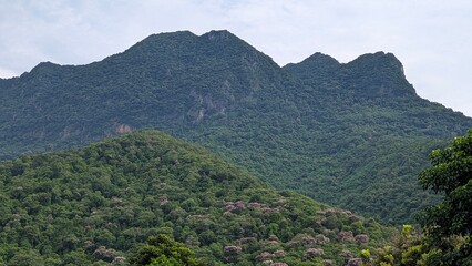 Fototapeta premium Lush Green Mountains in Vietnam