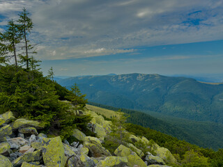 Obraz premium Sunny Carpathian peaks: green valleys and crystal clear skies.