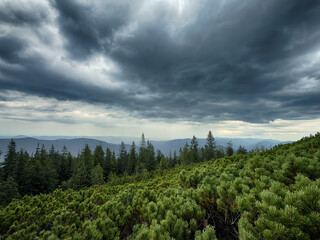 Sunny Carpathian peaks: green valleys and crystal clear skies.