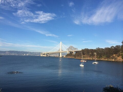 Eastern span of the Oakland Bay Bridge from Clipper Cove beach on Yerba Buena Island, San Francisco, California, USA