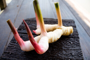 Galangal,herb,spices