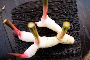 Galangal,herb,spices