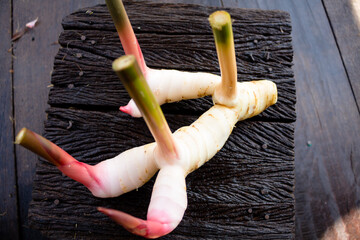 Galangal,herb,spices