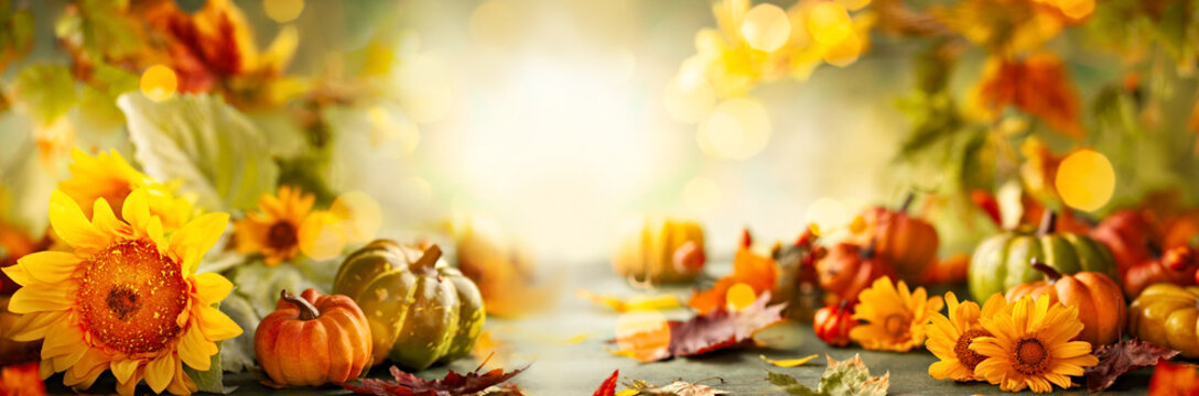 Beautiful fall scene with colorful pumpkins, autumn leaves and flowers. Thanksgiving or Halloween background. banner - Powered by Adobe