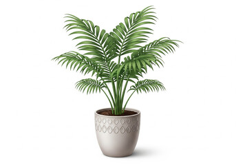 Obraz premium Elegant Miniature Palm Tree in Ceramic Pot