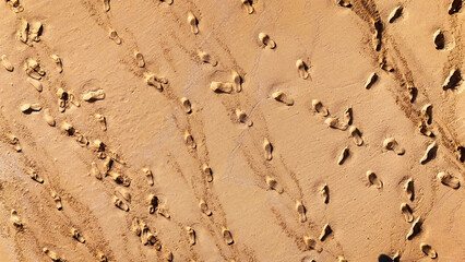 Abstract aerial view of footprints in the wet sand