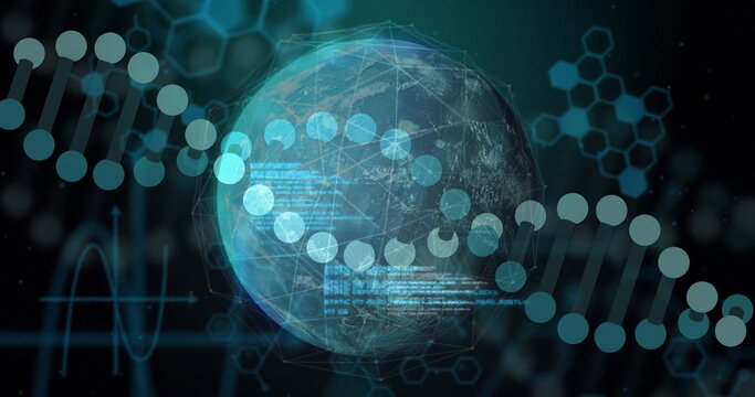Naklejki Rotating digital globe revealing DNA helix and code overlays in virtual space, with hex patterns