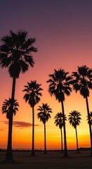 Obraz premium Group of palm trees at sunset on coastline