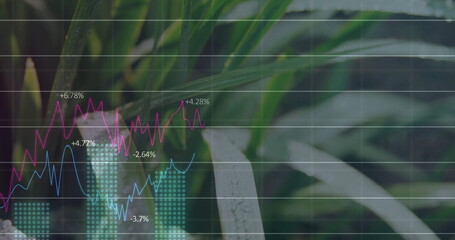 Overlaying financial chart onto tropical leaves, showing magenta and light blue lines and teal bars