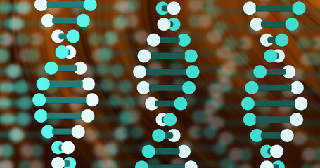 Displaying three DNA helices with turquoise-white nodes linked by dark green bars in digital space