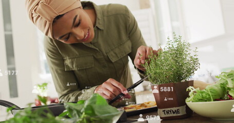 Trimming home cook slicing potted thyme on kitchen counter, with knife, frying pan, salad greens